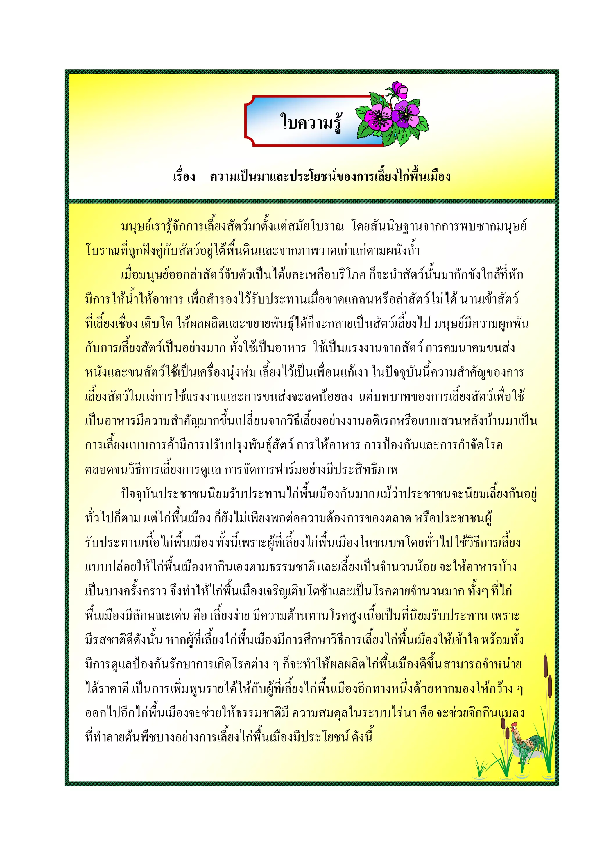 ใบความรู

                   เรื่อง ความเปนมาและประโยชนของการเลี้ยงไกพื้นเมือง

          มนุษยเรารูจักการเลี้ยงสัตวมาตั้งแตสมัยโบราณ โดยสันนิษฐานจากการพบซากมนุษย
โบราณที่ถูกฝงคูกับสัตวอยูใตพื้นดินและจากภาพวาดเกาแกตามผนังถ้ํา
          เมื่อมนุษยออกลาสัตวจับตัวเปนไดและเหลือบริโภค ก็จะนําสัตวนั้นมากักขังใกลที่พัก
มีการใหน้ําใหอาหาร เพื่อสํารองไวรับประทานเมื่อขาดแคลนหรือลาสัตวไมได นานเขาสัตว
ที่เลี้ยงเชื่อง เติบโต ใหผลผลิตและขยายพันธุไดก็จะกลายเปนสัตวเลี้ยงไป มนุษยมีความผูกพัน
กับการเลี้ยงสัตวเปนอยางมาก ทั้งใชเปนอาหาร ใชเปนแรงงานจากสัตว การคมนาคมขนสง
หนังและขนสัตวใชเปนเครื่องนุงหม เลี้ยงไวเปนเพื่อนแกเงา ในปจจุบันนี้ความสําคัญของการ
เลี้ยงสัตวในแงการใชแรงงานและการขนสงจะลดนอยลง แตบทบาทของการเลี้ยงสัตวเพื่อใช
เปนอาหารมีความสําคัญมากขึ้นเปลี่ยนจากวิธีเลี้ยงอยางงานอดิเรกหรือแบบสวนหลังบานมาเปน
การเลี้ยงแบบการคามีการปรับปรุงพันธุสัตว การใหอาหาร การปองกันและการกําจัดโรค
ตลอดจนวิธีการเลี้ยงการดูแล การจัดการฟารมอยางมีประสิทธิภาพ
          ปจจุบันประชาชนนิยมรับประทานไกพื้นเมืองกันมาก แมวาประชาชนจะนิยมเลี้ยงกันอยู
ทั่วไปก็ตาม แตไกพื้นเมือง ก็ยังไมเพียงพอตอความตองการของตลาด หรือประชาชนผู
รับประทานเนื้อไกพื้นเมือง ทั้งนี้เพราะผูที่เลี้ยงไกพื้นเมืองในชนบทโดยทั่วไป ใชวิธีการเลี้ยง
แบบปลอยใหไกพื้นเมืองหากินเองตามธรรมชาติ และเลี้ยงเปนจํานวนนอย จะใหอาหารบาง
เปนบางครั้งคราว จึงทําใหไกพื้นเมืองเจริญเติบโตชาและเปนโรคตายจํานวนมาก ทั้งๆ ที่ไก
พื้นเมืองมีลักษณะเดน คือ เลี้ยงงาย มีความตานทานโรคสูง เนื้อเปนที่นิยมรับประทาน เพราะ
มีรสชาติดีดังนั้น หากผูที่เลี้ยงไกพื้นเมืองมีการศึกษาวิธีการเลี้ยงไกพื้นเมืองใหเขาใจ พรอมทั้ง
มีการดูแลปองกันรักษาการเกิดโรคตาง ๆ ก็จะทําใหผลผลิตไกพื้นเมืองดีขึ้น สามารถจําหนาย
ไดราคาดี เปนการเพิ่มพูนรายไดใหกับผูที่เลี้ยงไกพื้นเมืองอีกทางหนึ่งดวยหากมองใหกวาง ๆ
ออกไปอีกไกพื้นเมืองจะชวยใหธรรมชาติมี ความสมดุลในระบบไรนา คือ จะชวยจิกกินแมลง
ที่ทําลายตนพืชบางอยางการเลี้ยงไกพื้นเมืองมีประโยชน ดังนี้
 
