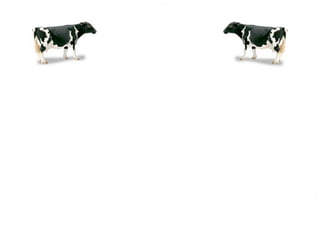 おばかアプリ資料