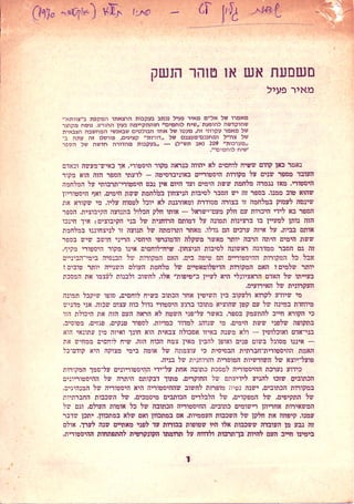 טוהר הנשק או משמעת הנשק