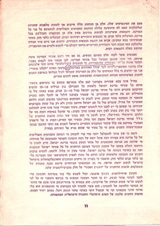 טוהר הנשק או משמעת הנשק