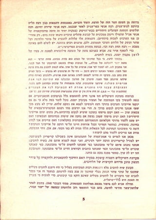 טוהר הנשק או משמעת הנשק