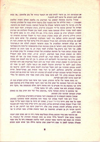 טוהר הנשק או משמעת הנשק