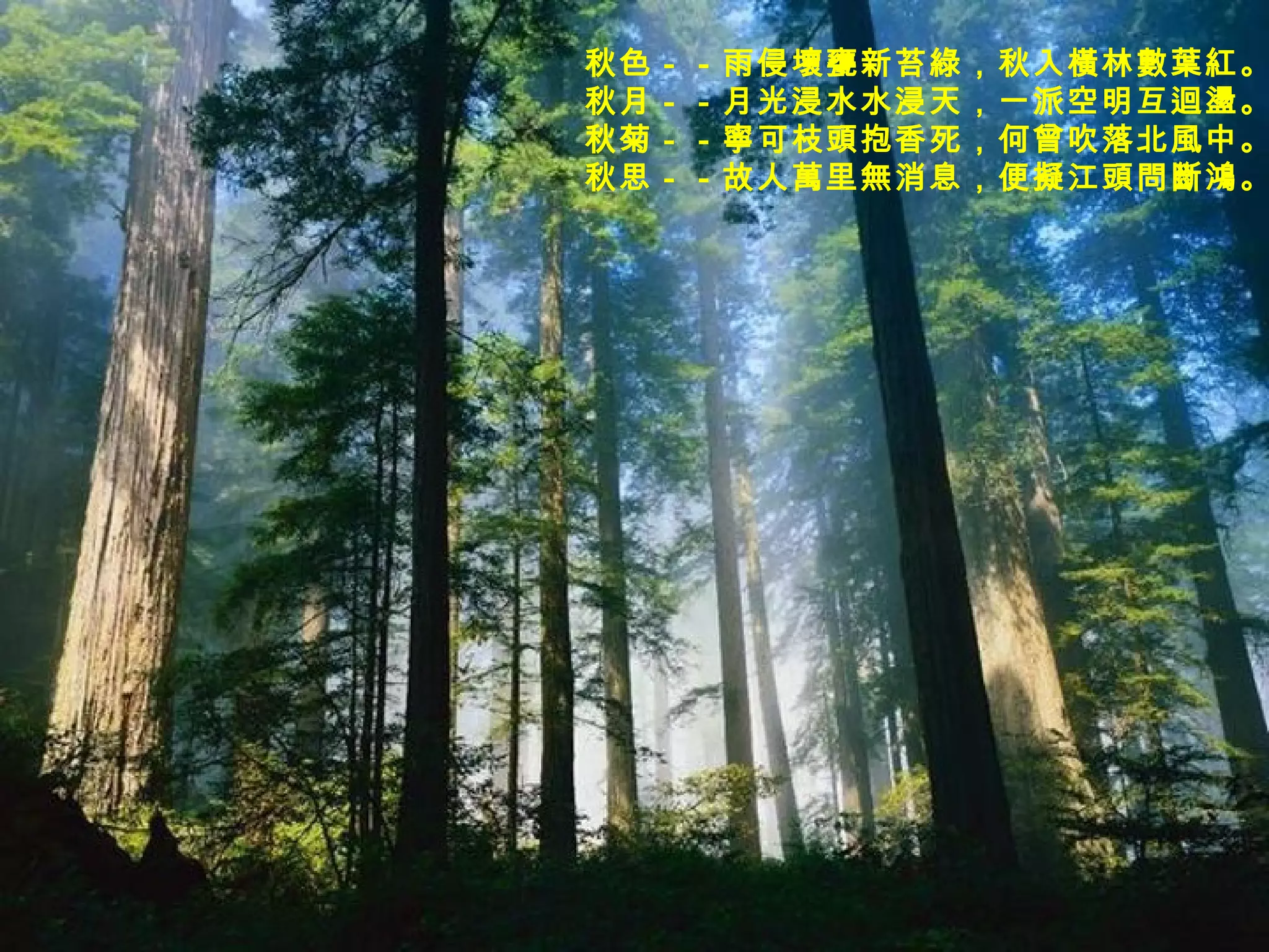 秋色－－雨侵壞甕新苔綠，秋入橫林數葉紅。  秋月－－月光浸水水浸天，一派空明互迴盪。  秋菊－－寧可枝頭抱香死，何曾吹落北風中。  秋思－－故人萬里無消息，便擬江頭問斷鴻。   