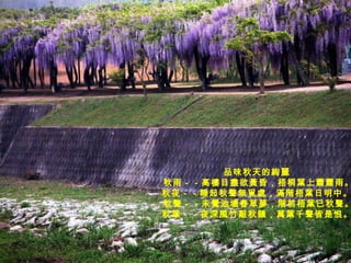 品味秋天的絢麗  秋雨－－高樓目盡欲黃昏，梧桐葉上蕭蕭雨。 秋夜－－睡起秋聲無覓處，滿階梧葉日明中。  秋聲－－未覺池塘春草夢，階前梧葉已秋聲。 秋葉－－夜深風竹敲秋韻，萬葉千聲皆是恨。   