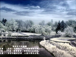 享受冬天的蘊藏  冬雪－－忽如一夜春風來，千樹萬樹梨花開。 冬梅－－不是一番寒徹骨，爭得梅花赴鼻香。  冬景－－岸容待臘將舒柳，山意沖寒欲放梅。 