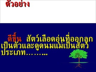 ตัวอย่าง ดีขึ้น   สัตว์เลือดอุ่นที่ออกลูกเป็นตัวและดูดนมแม่เป็นสัตว์ประเภท…… ... 
