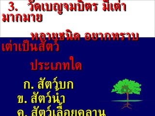 3.  วัดเบญจมบิตร มีเต่ามากมาย หลายชนิด อยากทราบเต่าเป็นสัตว์ ประเภทใด ก .  สัตว์บก ข .   สัตว์น้ำ ค .   สัตว์เลื้อยคลาน ง .  สัตว์ครึ่งบกครึ่งน้ำ 