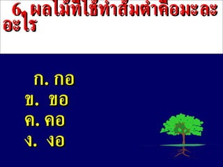 6 .  ผลไม้ที่ใช้ทำส้มตำคือมะละอะไร ก .  กอ ข .   ขอ ค .  คอ ง .  งอ 