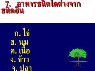 7 .  อาหารชนิดใดต่างจากชนิดอื่น ก .  ไข่ ข .   นม ค .   เนื้อ ง .  ข้าว จ .  ปลา 