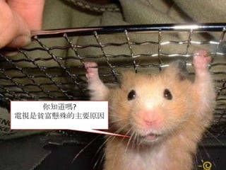 你知道嗎?電視是貧富懸殊的主要原因