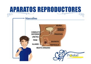 Mejorando la Salud Sexual y Reproductiva 