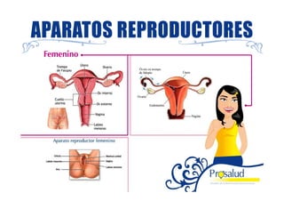 Mejorando la Salud Sexual y Reproductiva 