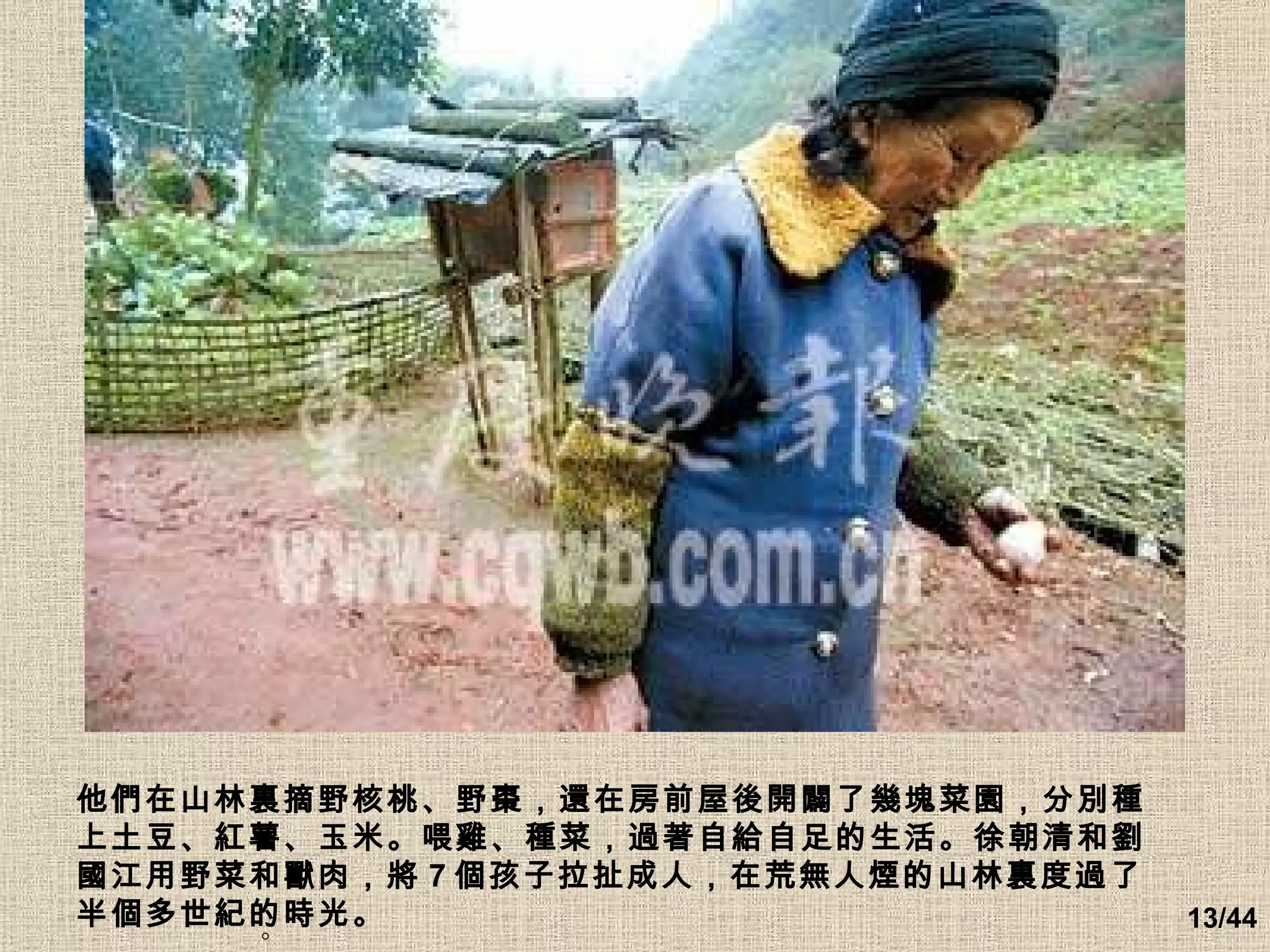 。  他們在山林裏摘野核桃、野棗，還在房前屋後開闢了幾塊菜園，分別種上土豆、紅薯、玉米。喂雞、種菜，過著自給自足的生活。徐朝清和劉國江用野菜和獸肉，將 7 個孩子拉扯成人，在荒無人煙的山林裏度過了半個多世紀的時光。   