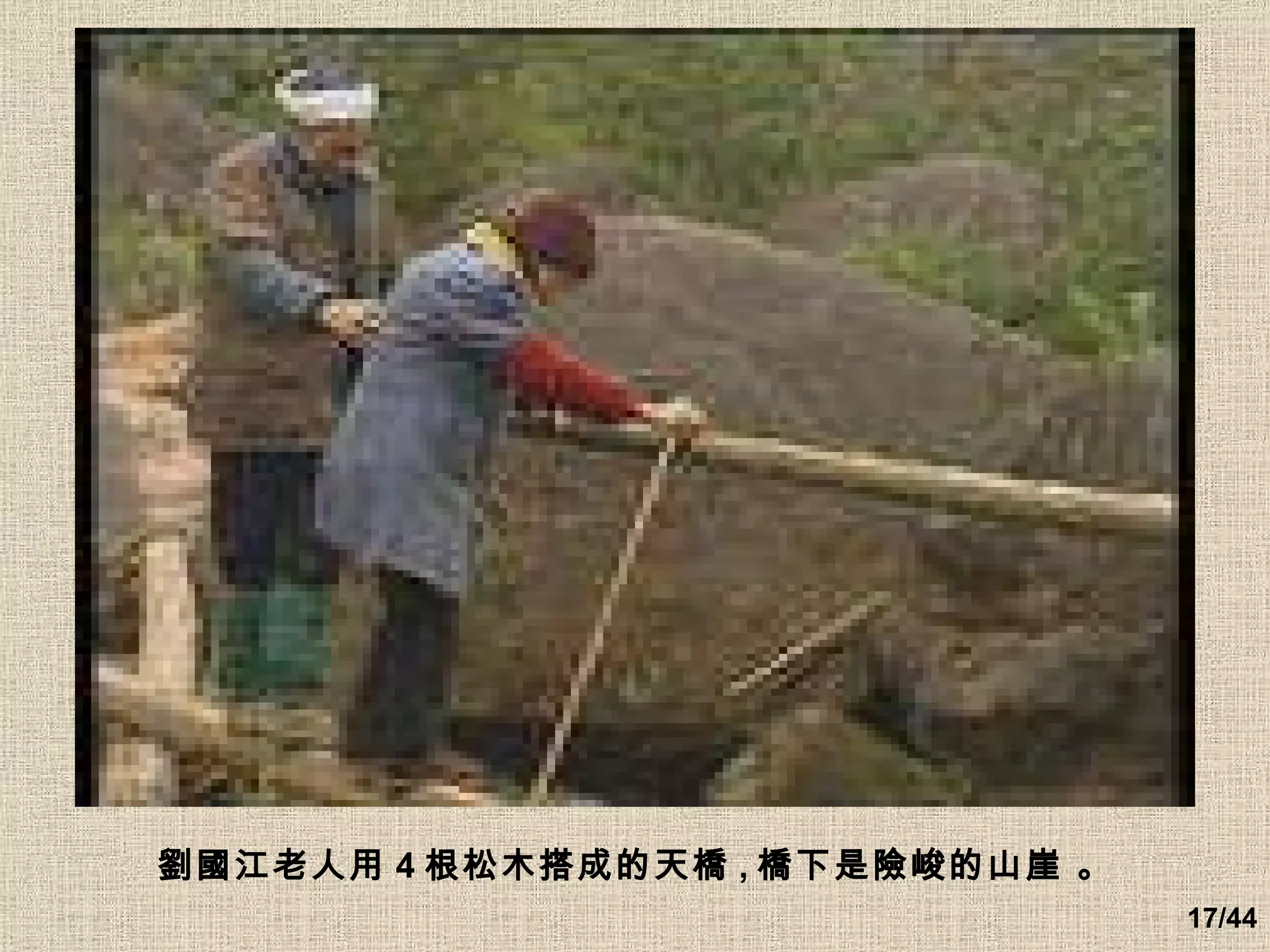 劉國江老人用 4 根松木搭成的天橋 , 橋下是險峻的山崖 。 