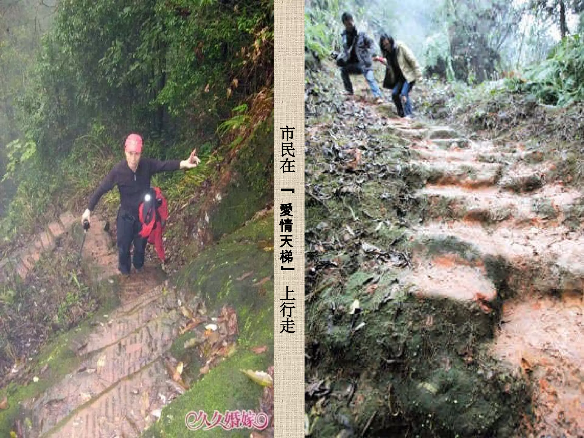       市民在   “  愛情天梯 ”   上行走  