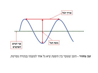 זמן מחזור   -  הזמן שעובר בין הופעת שיא גל אחד למשנהו בנקודה מסוימת . פני המים השקטים גובה הגל אורך הגל 