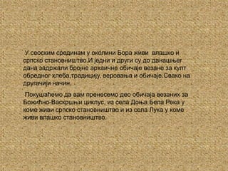 У сеоским срединам у околини Бора живи  влашко и српско становништво.И једни и други су до данашњег дана задржали бројне архаичне обичаје везане за култ обредног хлеба,традицију, веровања и обичаје.Свако на другачији начин. Покушаћемо да вам пренесемо део обичаја везаних за Божићно-Васкршњи циклус, из села Доња Бела Река у коме живи српско становништво и из села Лука у коме живи влашко становништво.