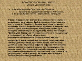 БОЖИЋНО-ВАСКРШЊИ ЦИКЛУСВлашко-Српских обичајаСвета Варвара-Барбура, односно Вариндан                  празнује се 4.децембра по старом Јулијанском а 17. децембра по новом Георгијанском календару.У сеоским срединама у околини Бора влашко становништво је до данашњег дана одржало бројне архаичне обичаје везане за култ плодности. Уочи Свете  Варваре месе се три погаче од пшеничног брашна, без квасца-турте, једна већа и две мање. Пре изласка сунца домаћица стаје на праг држећи у једној руци посуду са хладном водом, а у другој већу погачу, изговарајући:  “Добро јутро Варваро, ја теби нудим врелу погачу и хладну воду а ти мене даруј пилићима, јајима, стоком, пшеницом,луком,кромпиром, здрављем мојих укућана.”Вода,симбол женског божанства плодности карактеристичан за земљорадничке религије, просипа се испред куће, а погачу домаћица уноси и припрема софру.На софри се унутар обруча од вуне поставе три турте, а на њима се ређа кукуруз,пасуљ, семе од тикве...Оне се намењују трима Варварама.На основу архаичних елемената обредне праксе може се претпоставити да је хришћанска светица Варвара наследник неког паганског женског божанства плодности земље. 