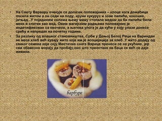 На Свету Варвару очекује се долазак положајника – клоце кога домаћица посипа житом а он седи на поду, круни кукуруз и зове пилиће, кокошке, јагњад...У појединим селима њему мажу стопала медом да би пилићи били меки и слатки као мед. Овим магијским радњама положајник је индетификован са квочком, а његова улога је да кући у коју улази донесе срећу и напредак на почетку године.  За разлику од влашког становништва, Срби у Доњој Белој Реци на Вариндан не месе хлеб већ кувају жито које им је асоцијација за хлеб .У жито додају од сваког семена које сеју.Мистична снага Варице преноси се на укућане, јер сви обавезно морају да пробају,оно што преостане не баца се већ се даје живини.барбуре