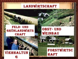 Landwirtschaft Feld- und  Grünlandwirtschaft Obst- und Weinbau Viehhaltung Forstwirtschaft 