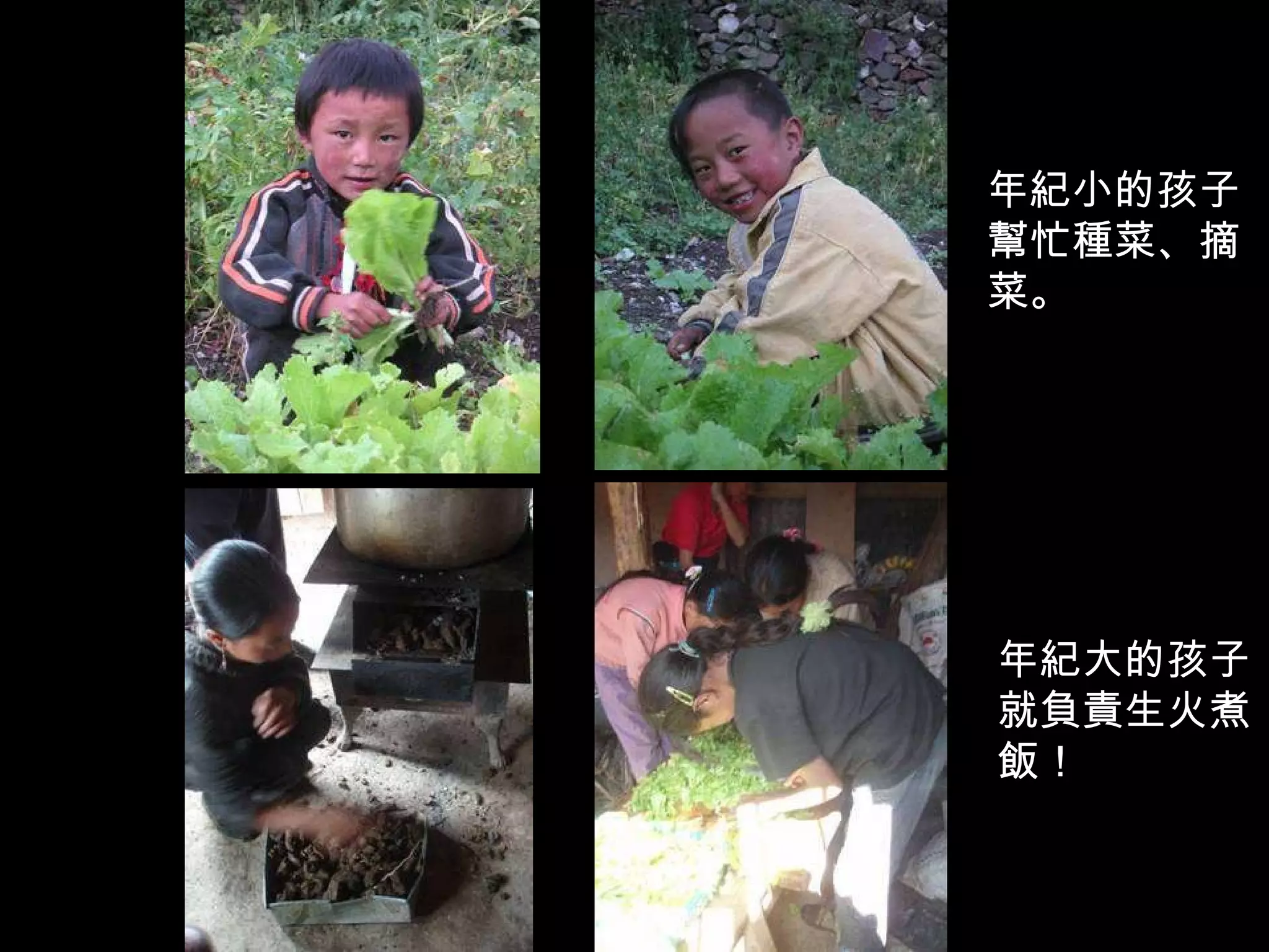 年紀小的孩子幫忙種菜、摘菜。 年紀大的孩子就負責生火煮飯！ 