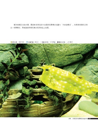 how to use camera(some basic knowledge and skills)