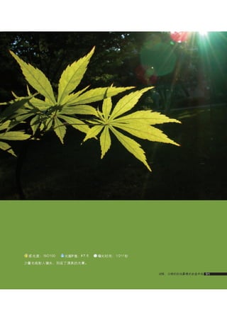 how to use camera(some basic knowledge and skills)