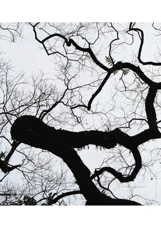 how to use camera(some basic knowledge and skills)