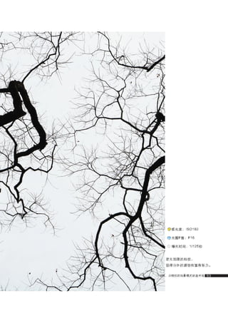 how to use camera(some basic knowledge and skills)