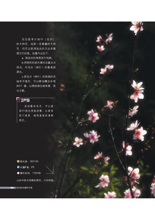 how to use camera(some basic knowledge and skills)