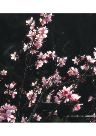 how to use camera(some basic knowledge and skills)