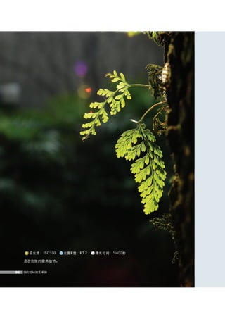 how to use camera(some basic knowledge and skills)