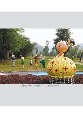 how to use camera(some basic knowledge and skills)