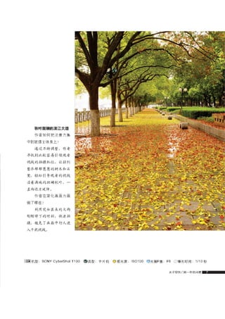 how to use camera(some basic knowledge and skills)