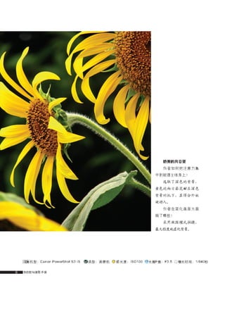 how to use camera(some basic knowledge and skills)