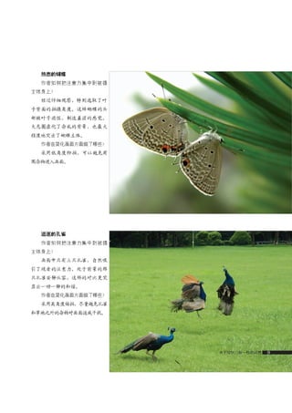 how to use camera(some basic knowledge and skills)