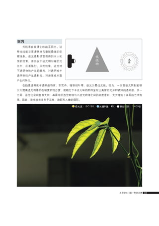 how to use camera(some basic knowledge and skills)