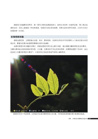 how to use camera(some basic knowledge and skills)