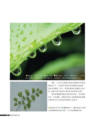 how to use camera(some basic knowledge and skills)