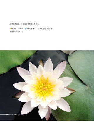 how to use camera(some basic knowledge and skills)