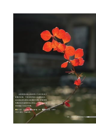 how to use camera(some basic knowledge and skills)