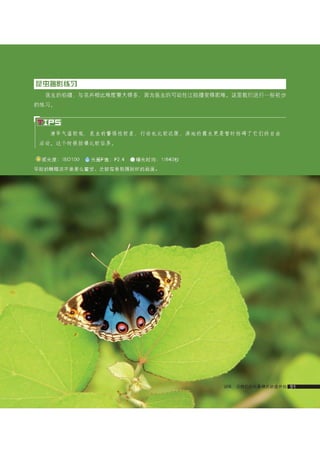 how to use camera(some basic knowledge and skills)