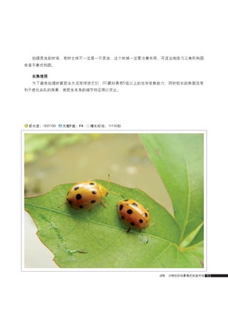 how to use camera(some basic knowledge and skills)