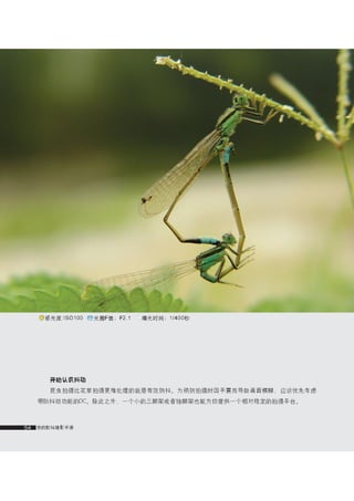 how to use camera(some basic knowledge and skills)