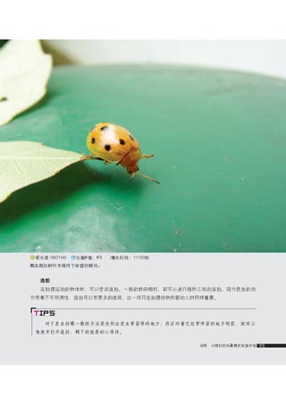 how to use camera(some basic knowledge and skills)