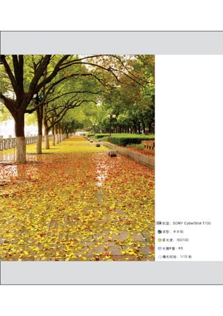 how to use camera(some basic knowledge and skills)