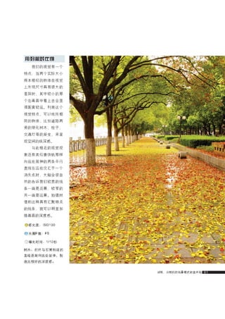 how to use camera(some basic knowledge and skills)