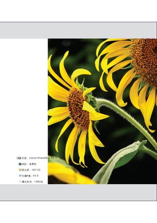 how to use camera(some basic knowledge and skills)