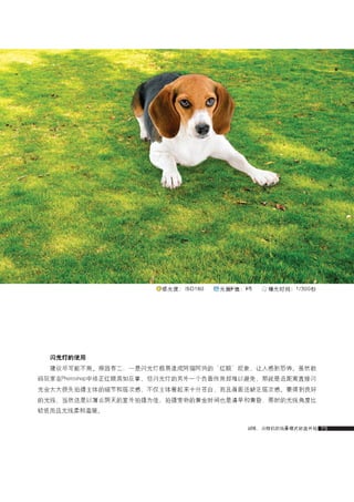 how to use camera(some basic knowledge and skills)