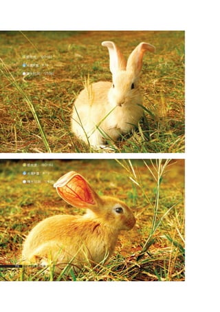 how to use camera(some basic knowledge and skills)